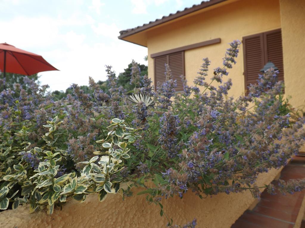 Rifugio Al Sole Villa Reggello Exterior foto